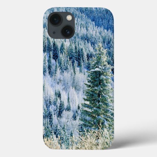 アメリカ, ワシントン州, スポケーン山州立公園, アスペン Case-Mate iPhoneケース (裏面)