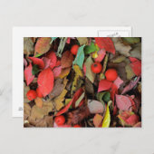 アメリカ ワシントン州 スポケーン郡 ハウソーンの葉 ポストカード (正面/裏面)