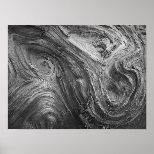 アメリカ、ワシントン州。ダグラス・モミ ポスター (正面)