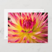 アメリカ ワシントン州 ダリアの花の詳細 ポストカード (正面/裏面)