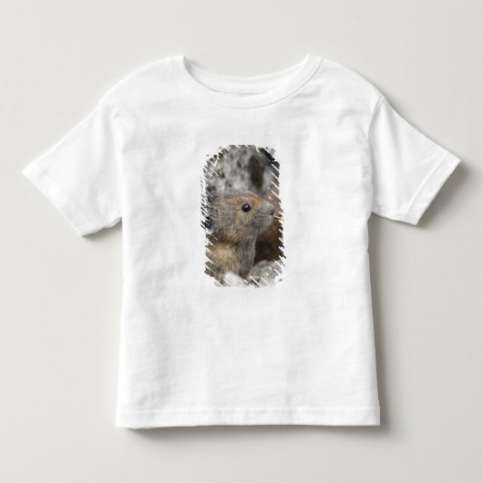 アメリカ, ワシントン州, ノース・カスケード国立公園, トドラーTシャツ (正面)