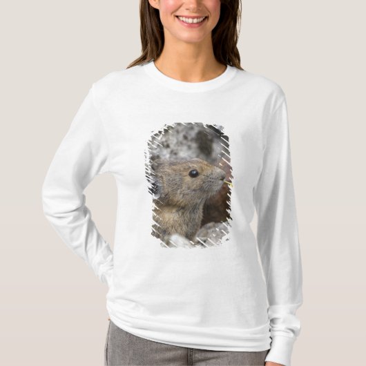 アメリカ, ワシントン州, ノース・カスケード国立公園, Tシャツ (正面)