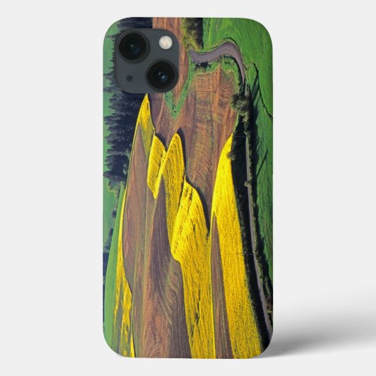 アメリカ, ワシントン州, パルーサ, ウィットマン郡 2 Case-Mate iPhoneケース (裏面)