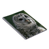 アメリカ、ワシントン州。フクロウ（線虫） ノートブック (右側)