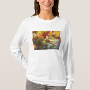 アメリカ, ワシントン州, ベリングハム, 秋のクローズアップ Tシャツ