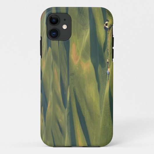 アメリカ、ワシントン州、ホイットマン郡、パラース農地より Case-Mate iPhoneケース (裏面)