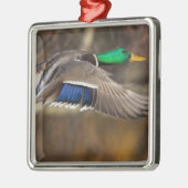 アメリカ、ワシントン州、マラード、男性、フライト。 メタルオーナメント (左)