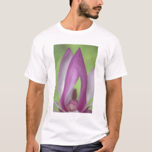 アメリカ、ワシントン州。モクレンの花のクローズアップ Tシャツ