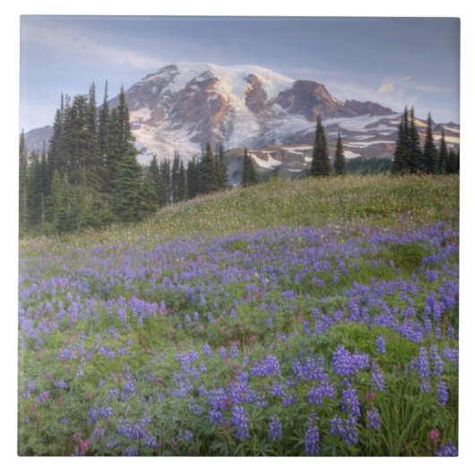 アメリカ, ワシントン州, レイニア山国立公園, レイニア山と タイル (正面)
