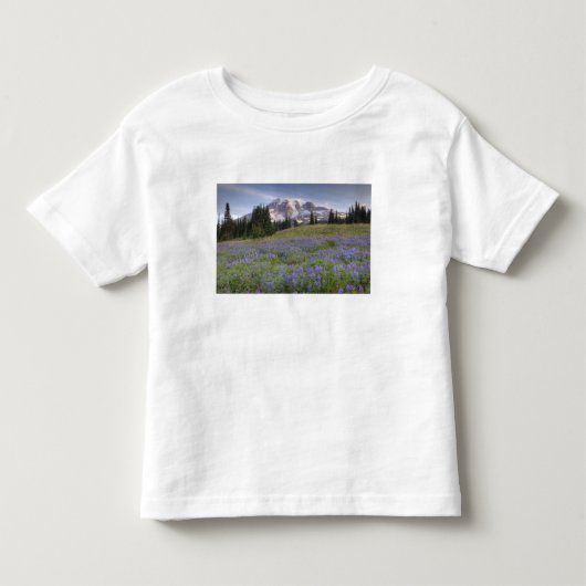 アメリカ, ワシントン州, レイニア山国立公園, レイニア山と トドラーTシャツ (正面)