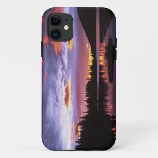 アメリカ, ワシントン州, レイニア山国立公園, Case-Mate iPhoneケース (裏面)