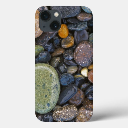 アメリカ、ワシントン州、ロペス島、アゲートビーチ Case-Mate iPhoneケース (裏面)