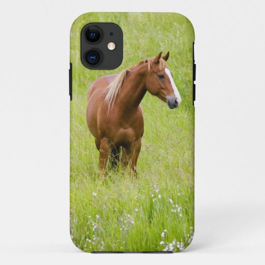 アメリカ, ワシントン州, 春の野原の馬 Case-Mate iPhoneケース (裏面)