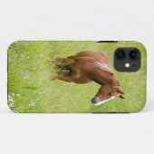 アメリカ, ワシントン州, 春の野原の馬 Case-Mate iPhoneケース (裏面(横))