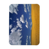 アメリカ、ワシントン州、Colfax。熟した大麦が合う マグネット (縦)