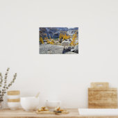 アメリカ、ワシントン、アルパインレイクスWiLderness Enchantes。 ポスター (キッチン)