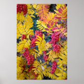 アメリカ、ワシントン、ウエスタンマウンテンアッシュ、オカノガン ポスター (正面)