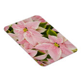 アメリカ,ワシントン,ウッドリヴィル,モルバクの子供部屋, 4 マグネット (右側)