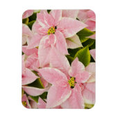 アメリカ,ワシントン,ウッドリヴィル,モルバクの子供部屋, 4 マグネット (縦)