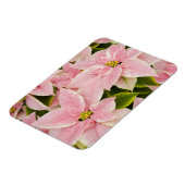 アメリカ,ワシントン,ウッドリヴィル,モルバクの子供部屋, 4 マグネット (左側)