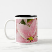 アメリカ，ワシントン，ウッドンビル，モルバクの子供部屋, 4 ツートーンマグカップ (左)