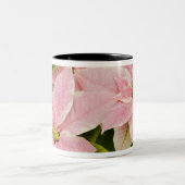 アメリカ，ワシントン，ウッドンビル，モルバクの子供部屋, 4 ツートーンマグカップ (中央)