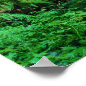 アメリカ、ワシントン、オリンピックのナント。ホー・レイン ポスター (角)