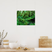 アメリカ、ワシントン、オリンピックのナント。ホー・レイン ポスター (キッチン)