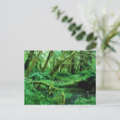 アメリカ、ワシントン、オリンピックのナント。ホー・レイン ポストカード (スタンド正面)