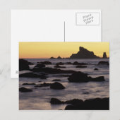 アメリカ、ワシントン、オリンピックナットル公園、シースタック ポストカード (正面/裏面)