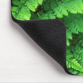 アメリカ,ワシントン,オリンピック国立公園,アティリウム マウスパッド (コーナー)