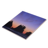 アメリカ·ワシントン·オリンピック国立公園·シーシー タイル (側面)