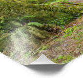 アメリカ、ワシントン、オリンピック国立公園、ハイキング フォトプリント            (角)