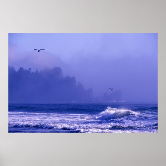 アメリカ、ワシントン、オリンピック国立公園。フォグ ポスター (正面)