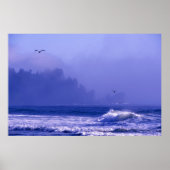 アメリカ、ワシントン、オリンピック国立公園。フォグ ポスター (正面)