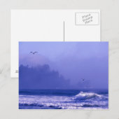 アメリカ、ワシントン、オリンピック国立公園。フォグ ポストカード (正面/裏面)