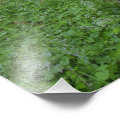 アメリカ、ワシントン、オリンピック国立公園。 フォトプリント            (角)