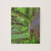 アメリカ、ワシントン、オリンピック国立公園、ホー・レイン ジグソーパズル (縦)