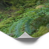 アメリカ、ワシントン、オリンピック国立公園、ホー・レイン ポスター (角)