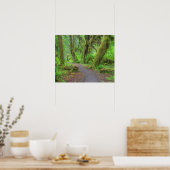 アメリカ、ワシントン、オリンピック国立公園、ホー・レイン ポスター (キッチン)