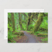 アメリカ、ワシントン、オリンピック国立公園、ホー・レイン ポストカード (正面/裏面)