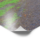 アメリカ，ワシントン，オリンピック国立公園，ホ フォトプリント            (角)