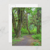 アメリカ，ワシントン，オリンピック国立公園，ホ ポストカード (正面/裏面)