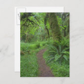 アメリカ、ワシントン、オリンピック国立公園。 ポストカード (正面/裏面)