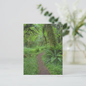 アメリカ、ワシントン、オリンピック国立公園。 ポストカード (スタンド正面)