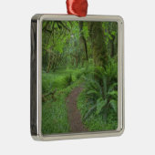 アメリカ、ワシントン、オリンピック国立公園。 メタルオーナメント (右)