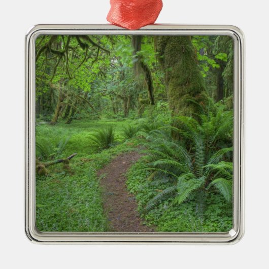 アメリカ、ワシントン、オリンピック国立公園。 メタルオーナメント (正面)