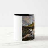 アメリカ、ワシントン、オリンピック国立公園。A ツートーンマグカップ (中央)