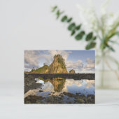 アメリカ、ワシントン、オリンピック国立公園。A ポストカード (スタンド正面)