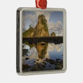 アメリカ、ワシントン、オリンピック国立公園。A メタルオーナメント (右)